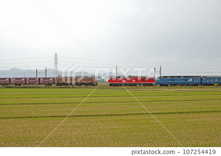 羽越幹線鶴岡富士島 JR 貨運 EF510-6 + JR 東日本 24 系列夢空館 JR 20 週年紀念號 107254419