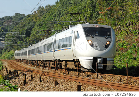 北陸幹線 津畿栗唐 JR西日本 683系 S11+S28+S23編組(金澤) 白鷺 北陸幹線 津畿栗唐 JR西日本 683系 S11+S28+S23編組(金澤) 白鷺 107254656