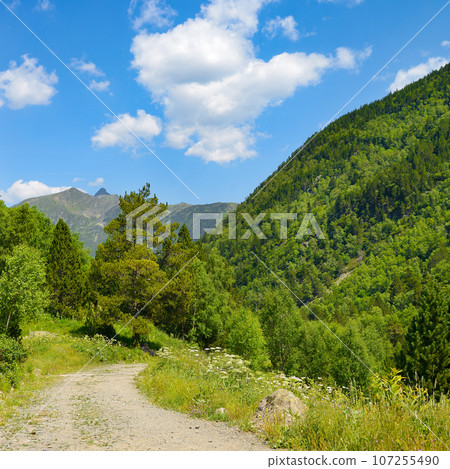 Rocky path in the mountains covered with forest Rocky path in the mountains covered with forest 107255490