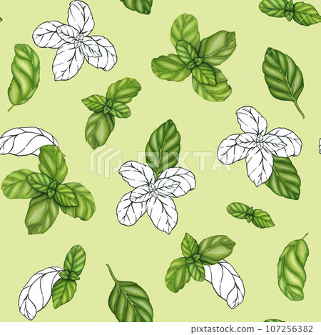 Basil drawing seamless pattern. Isolated plant with leaves background. Herbal watercolor illustration. Detailed organic product sketch. Cooking spicy ingredient Basil drawing seamless pattern. Isolated plant with leaves background. Herbal watercolor illustration. Detailed organic product sketch. Cooking spicy ingredient 107256382