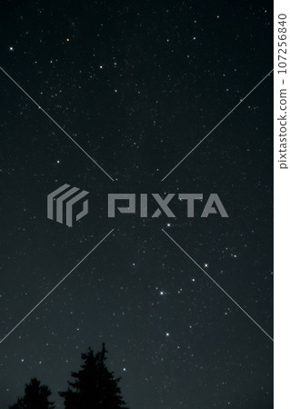 Hokuto Nagasaka Town, northern sky, Cassiopeia rising above the trees 107256840