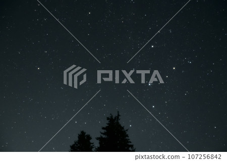 Hokuto Nagasaka Town, northern sky, Cassiopeia rising above the trees Hokuto Nagasaka Town, northern sky, Cassiopeia rising above the trees 107256842