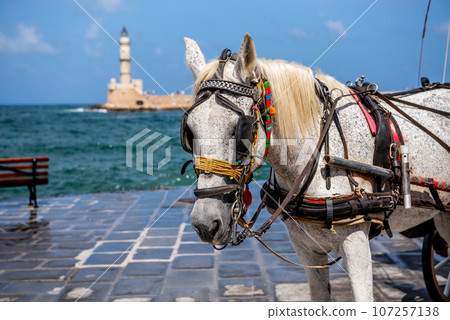 Portrait of a horse for tourists in the port of the Greek city of Chania 107257138