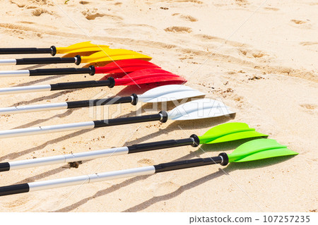 Colorful paddles for kayaking lay on white sand on a sunny day 107257235