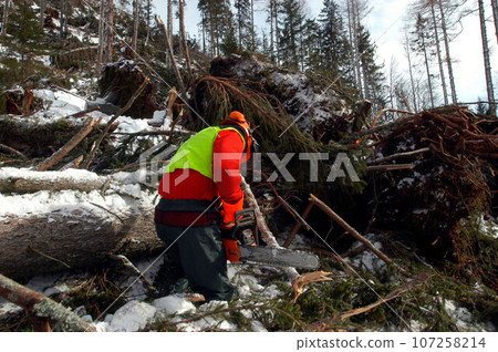 Forest worker in the winter Forest worker in the winter 107258214