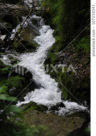 mountain stream in the alps 107258341