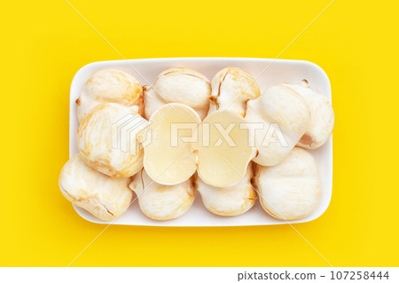 Toddy palm on yellow background. 107258444