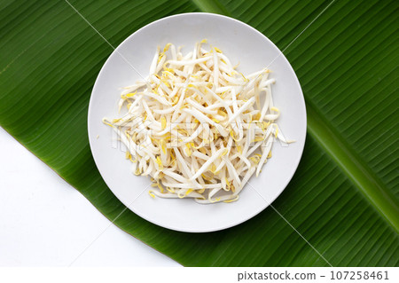 Bean sprouts on white background Bean sprouts on white background 107258461
