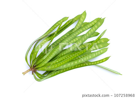 Leucaena leucocephala isolated on white background 107258968