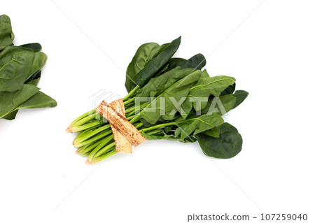Fresh spinach on white background Fresh spinach on white background 107259040
