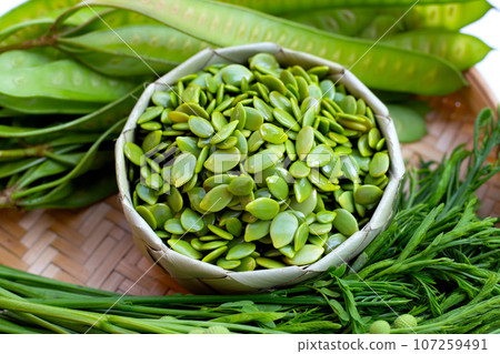 Leucaena leucocephala isolated on white background 107259491