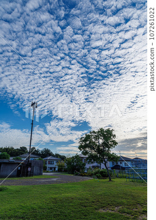 奈良市的住宅區,公園上空的沙丁魚雲充滿了雄偉的天空② 奈良市的住宅區,公園上空的沙丁魚雲充滿了雄偉的天空② 107261022