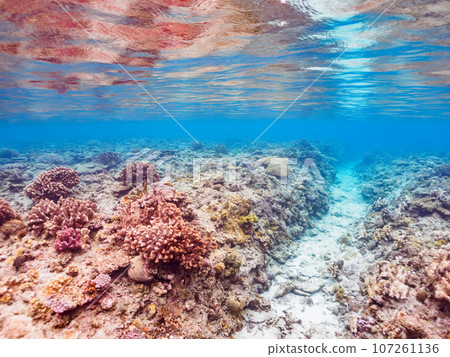 Vast and wonderful coral reefs and white sand roads. The beach of Kahi Island, crossed by ferry from Zamami Island, Zamami Village, Shimajiri District, Okinawa Prefecture, Japan. Vast and wonderful coral reefs and white sand roads. The beach of Kahi Island, crossed by ferry from Zamami Island, Zamami Village, Shimajiri District, Okinawa Prefecture, Japan. 107261136