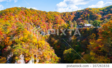 Naruko Gorge (autumn) 107261638