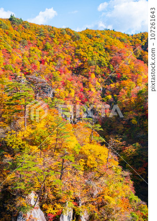 Naruko Gorge (autumn) Naruko Gorge (autumn) 107261643