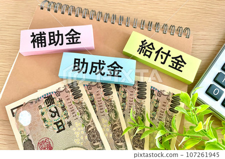 檢查補貼、福利、補貼 107261945