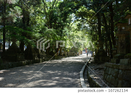 奈良縣春日大社的參道 107262134