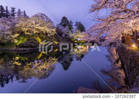 山形縣米澤市:春天照亮的米澤城遺址護城河和盛開的櫻花 山形縣米澤市:春天照亮的米澤城遺址護城河和盛開的櫻花 107262387