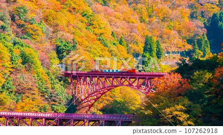 Kurobe Gorge in Autumn: Torokko Train Running on Shinyamabiko Bridge Kurobe Gorge in Autumn: Torokko Train Running on Shinyamabiko Bridge 107262918