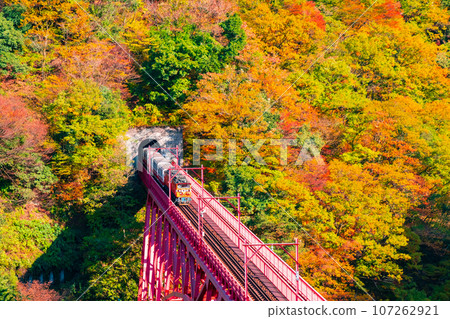 Kurobe Gorge in Autumn: Torokko Train Running on Shinyamabiko Bridge Kurobe Gorge in Autumn: Torokko Train Running on Shinyamabiko Bridge 107262921