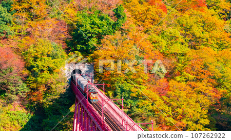 秋天的黑部峽谷:新山彥橋上行駛的小火車 秋天的黑部峽谷:新山彥橋上行駛的小火車 107262922