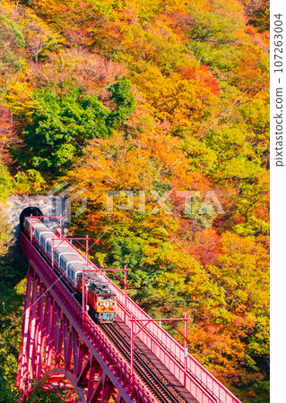 秋天的黑部峽谷：新山彥橋上行駛的小火車 107263004