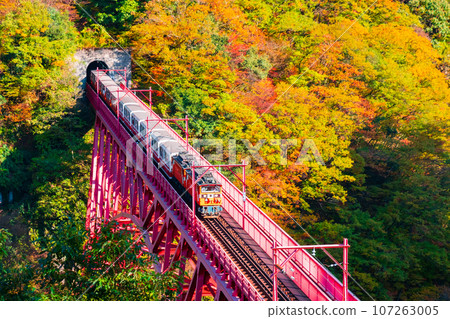秋天的黑部峽谷：新山彥橋上行駛的小火車 107263005