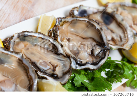 Opened oysters with lemon and herbs Opened oysters with lemon and herbs 107263716