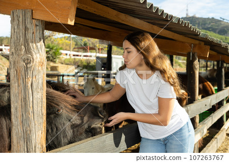 Portrait of smiling woman next to pony in stall at livestock farm 107263767