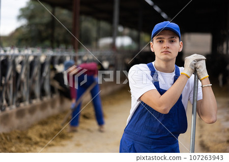 Young boy farmer posing while feeding cows at farm 107263943