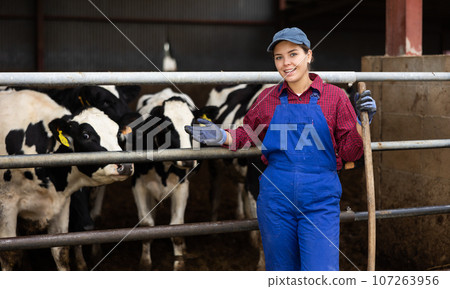 Young female farmer posing while feeding cows at farm Young female farmer posing while feeding cows at farm 107263956