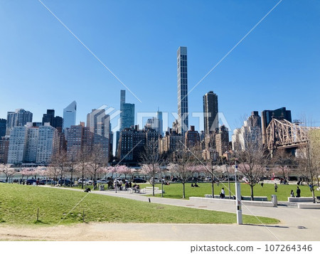 Manhattan seen from Roosevelt Island in spring Manhattan seen from Roosevelt Island in spring 107264346