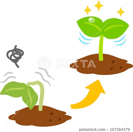 Withered buds and revitalized buds, revival 107264379