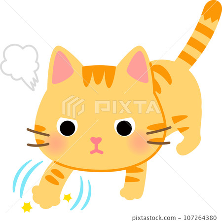 一隻貓小心翼翼地在地上挖 107264380