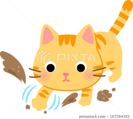 虎斑貓用前腿挖沙子 107264381