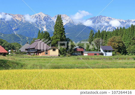 初秋的白馬：頌之裡與北阿爾卑斯山 107264416