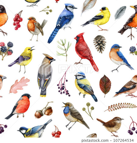 Garden backyard birds seamless pattern. Watercolor illustration. Realistic red cardinal, bluebird, waxwing, robin with natural wild herbs, leaves, berries, natural elements seamless pattern 107264534