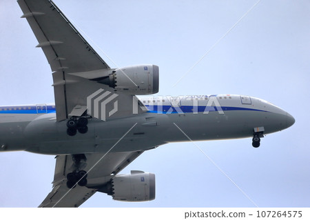 起飛和著陸一架客機 起飛和著陸一架客機 107264575