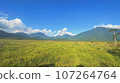 Wetlands and mountains spread out around the pond 107264764