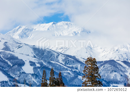 Hakuba in winter, Hakuba mountain range covered in snow Hakuba in winter, Hakuba mountain range covered in snow 107265012