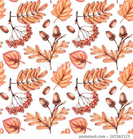 Watercolor autumn pattern Hand drawn Watercolor autumn pattern Hand drawn 107265123