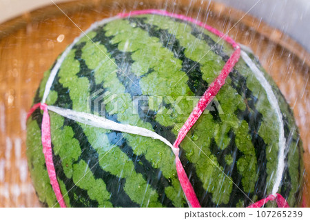 Watermelon being cooled with cold water Watermelon being cooled with cold water 107265239