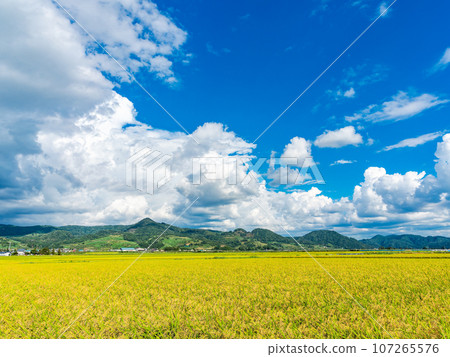 A refreshing midsummer rural scene in Akita, the rice-producing region A refreshing midsummer rural scene in Akita, the rice-producing region 107265576