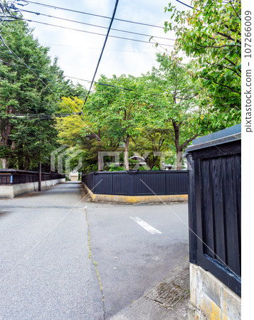 The quaint Haguro-cho Samurai Residence Street in Yokote City - historic streetscape 107266009