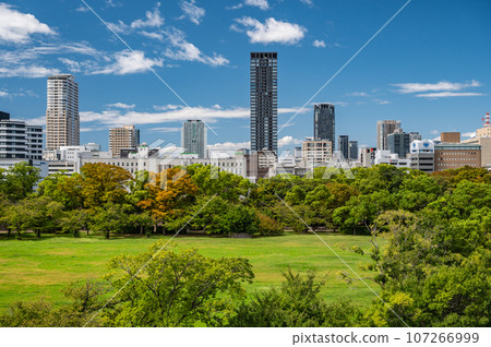 大阪城西之丸庭園及大阪市景 107266999