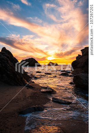 笹川流/夜景 107267201