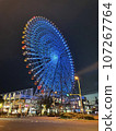 Ferris wheel  107267764
