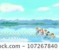 一起種植水稻 107267840