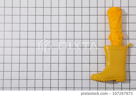 The main attribute in rainy weather - umbrella 107267873