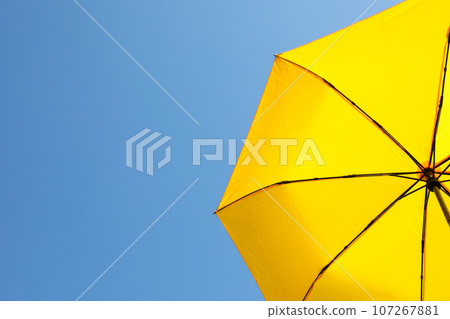 The main attribute in rainy weather - umbrella 107267881
